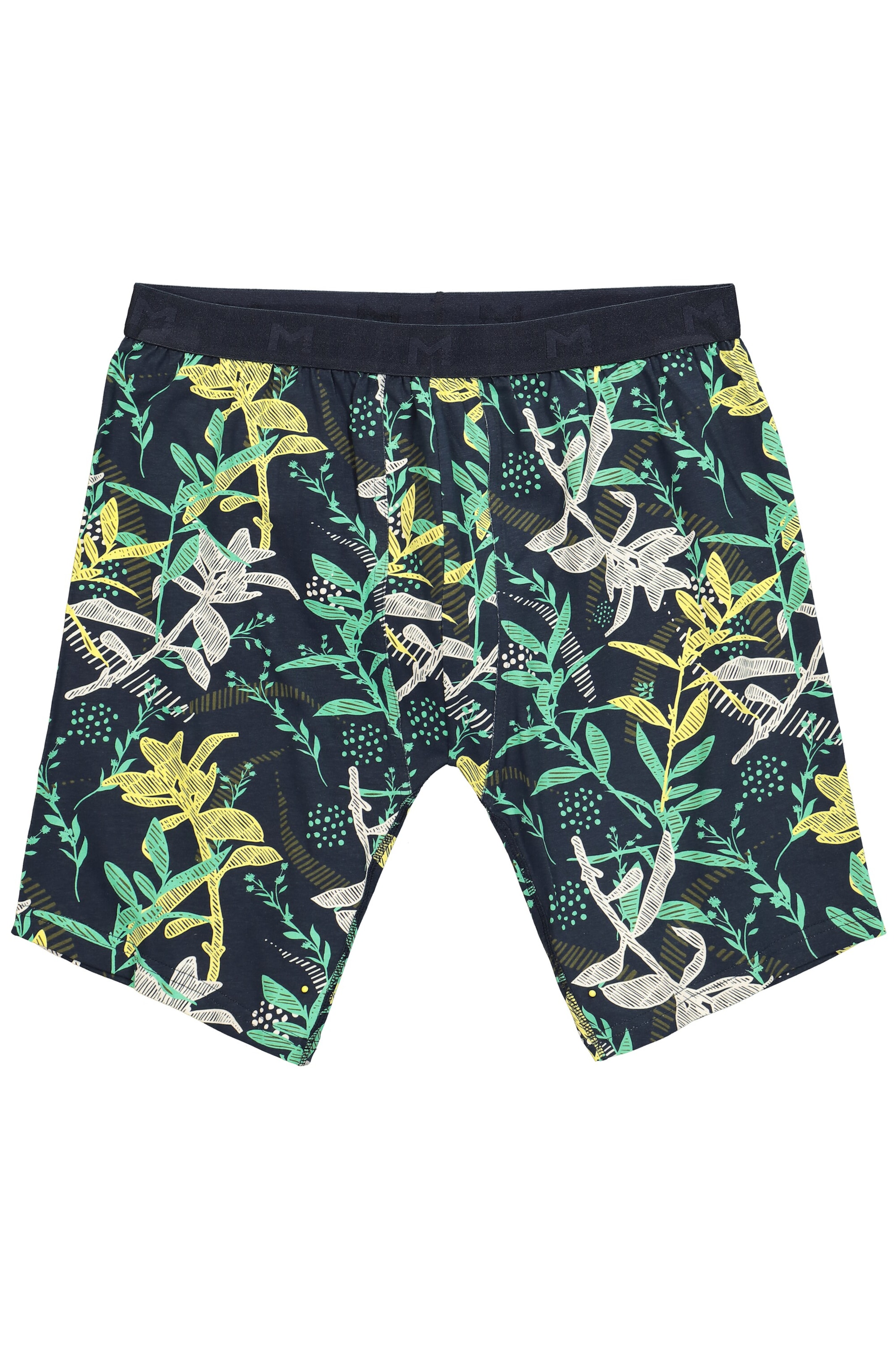 Men Plus Badehose in Blau: Vorderseite