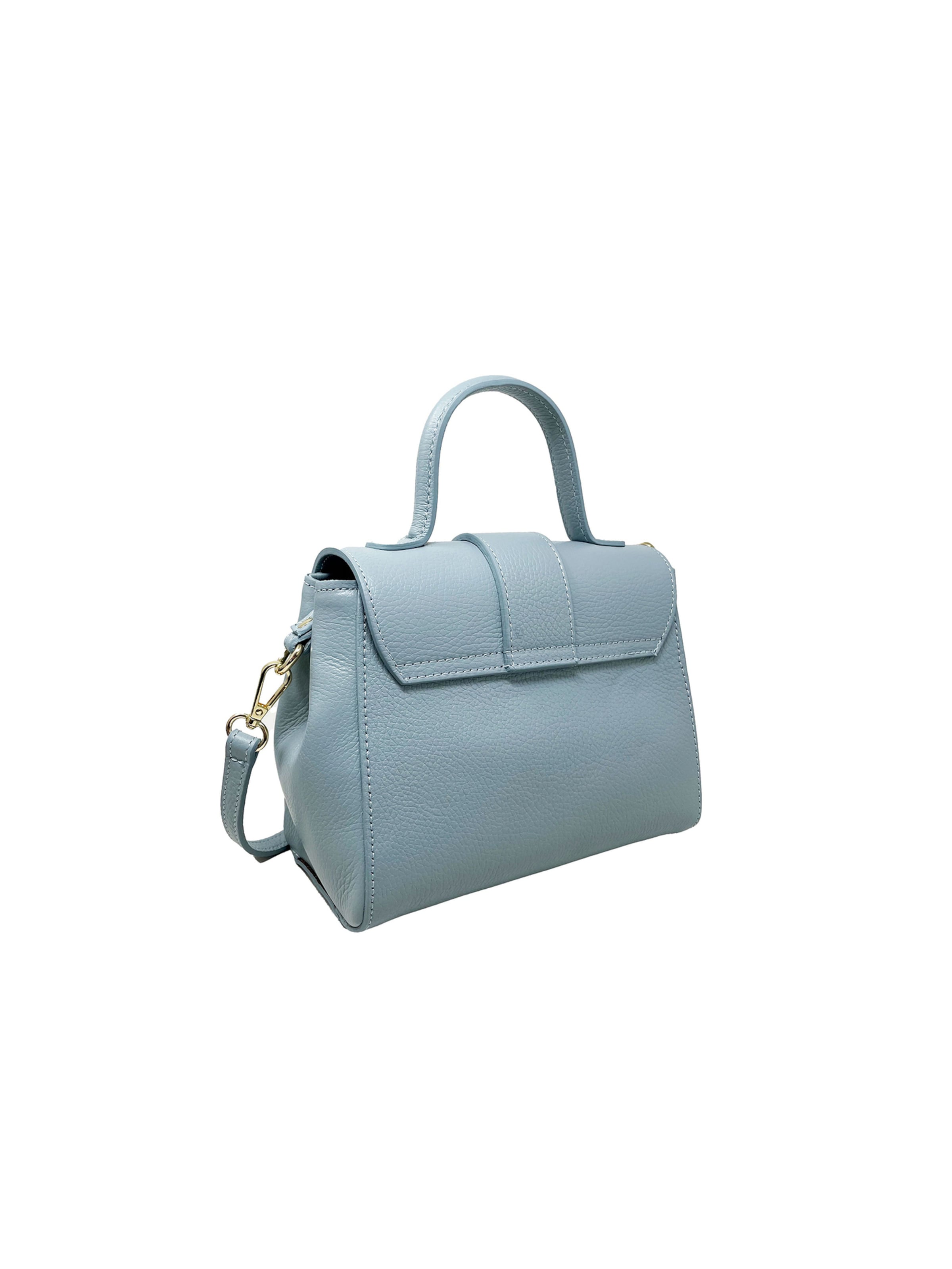 CHICCA BORSE Handbag in Blue