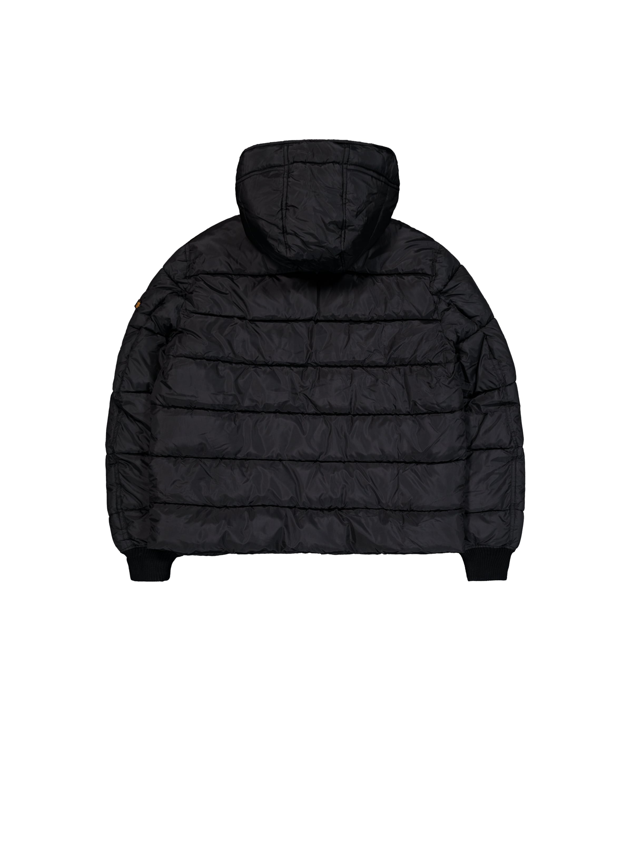 ALPHA INDUSTRIES Winter Jacket 'Alpha FD' in Black