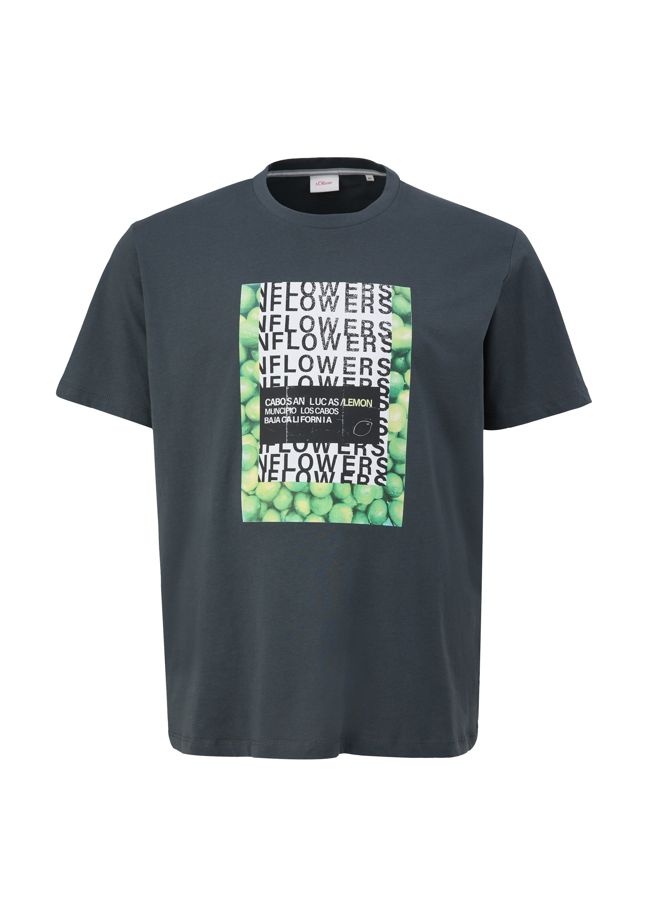 s.Oliver Men Big Sizes Shirt in Blue: front