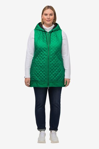 Ulla Popken Bodywarmer in Groen