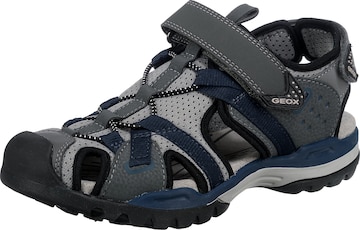 GEOX Sandals 'Borealis' in Grey: front