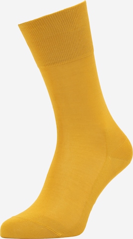 FALKE Socks 'Tiago' in Yellow: front