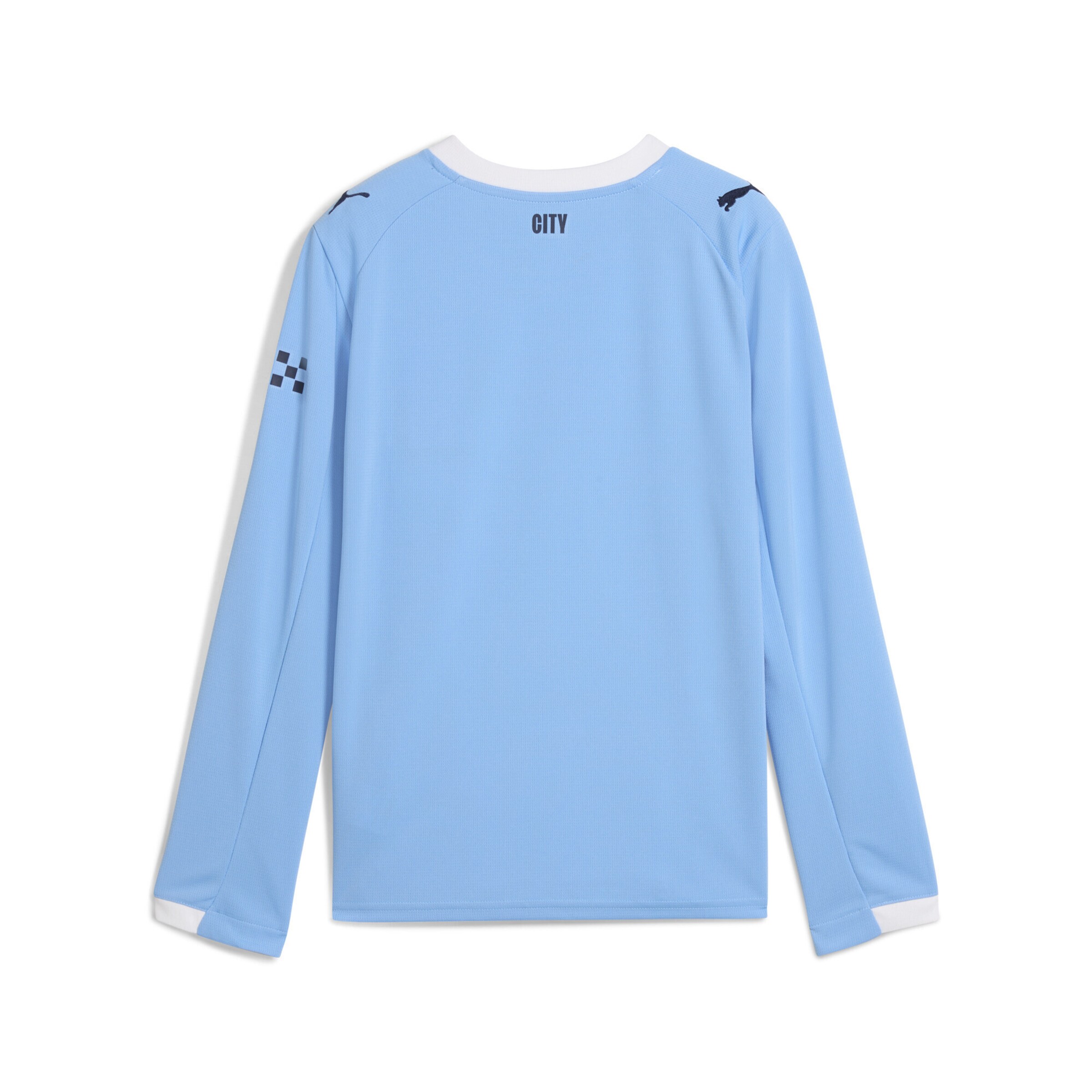 PUMA Functioneel shirt 'Manchester City 25/26' in Blauw