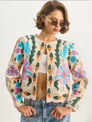 Veste mi-saison Bianco Lucci en mélange de couleurs : devant