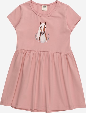 Walkiddy Dress 'Little & Big Horses' in Pink: front