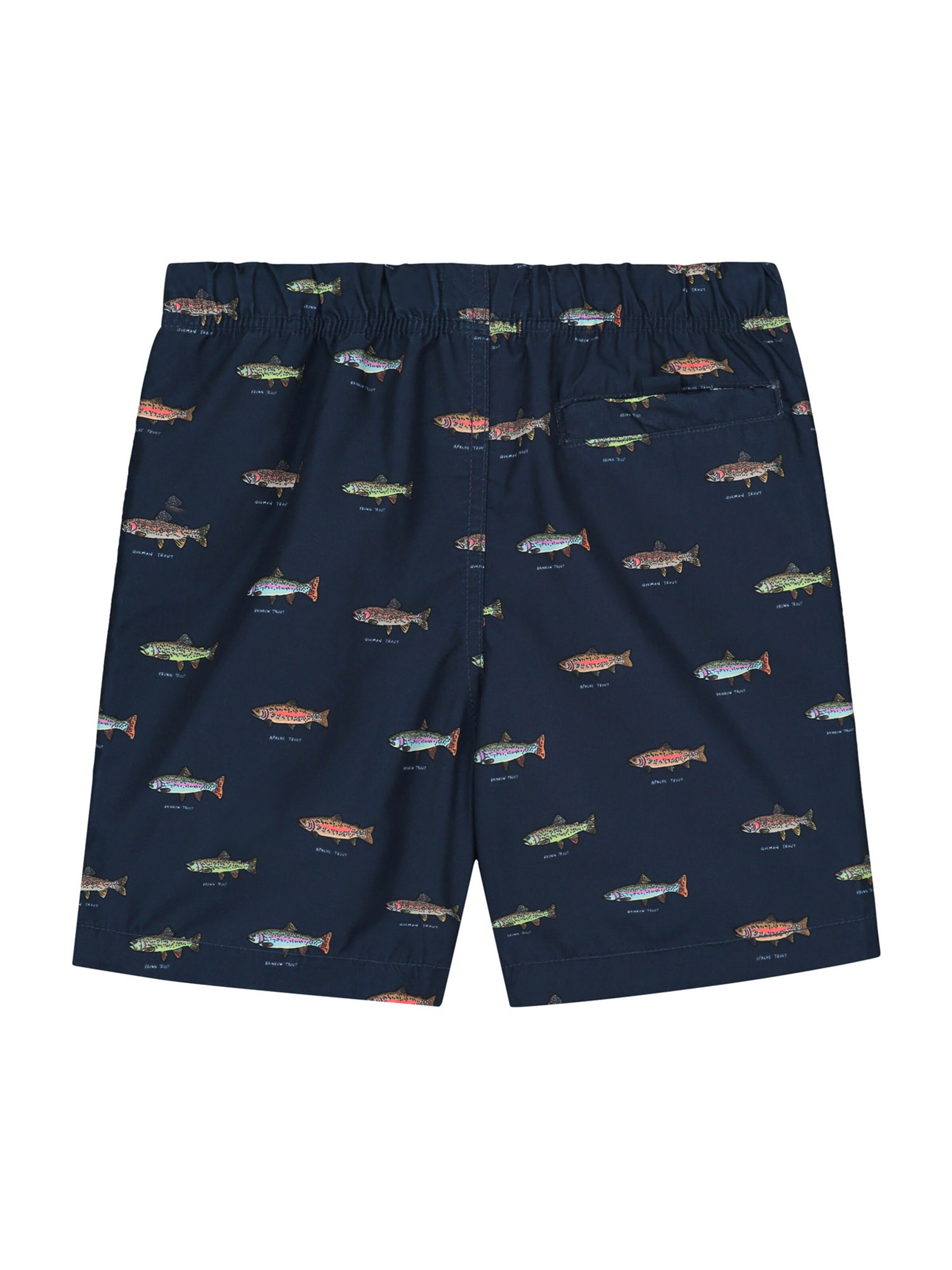 Shiwi Ujumispüksid 'Go Fish', värv sinine