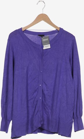 Zizzi Sweater & Cardigan in L in Purple: front