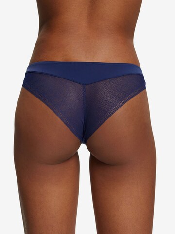 ESPRIT Panty in Blue