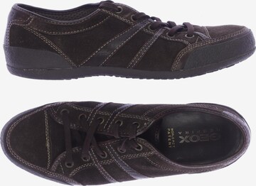 GEOX Sneakers & Trainers in 42 in Brown: front