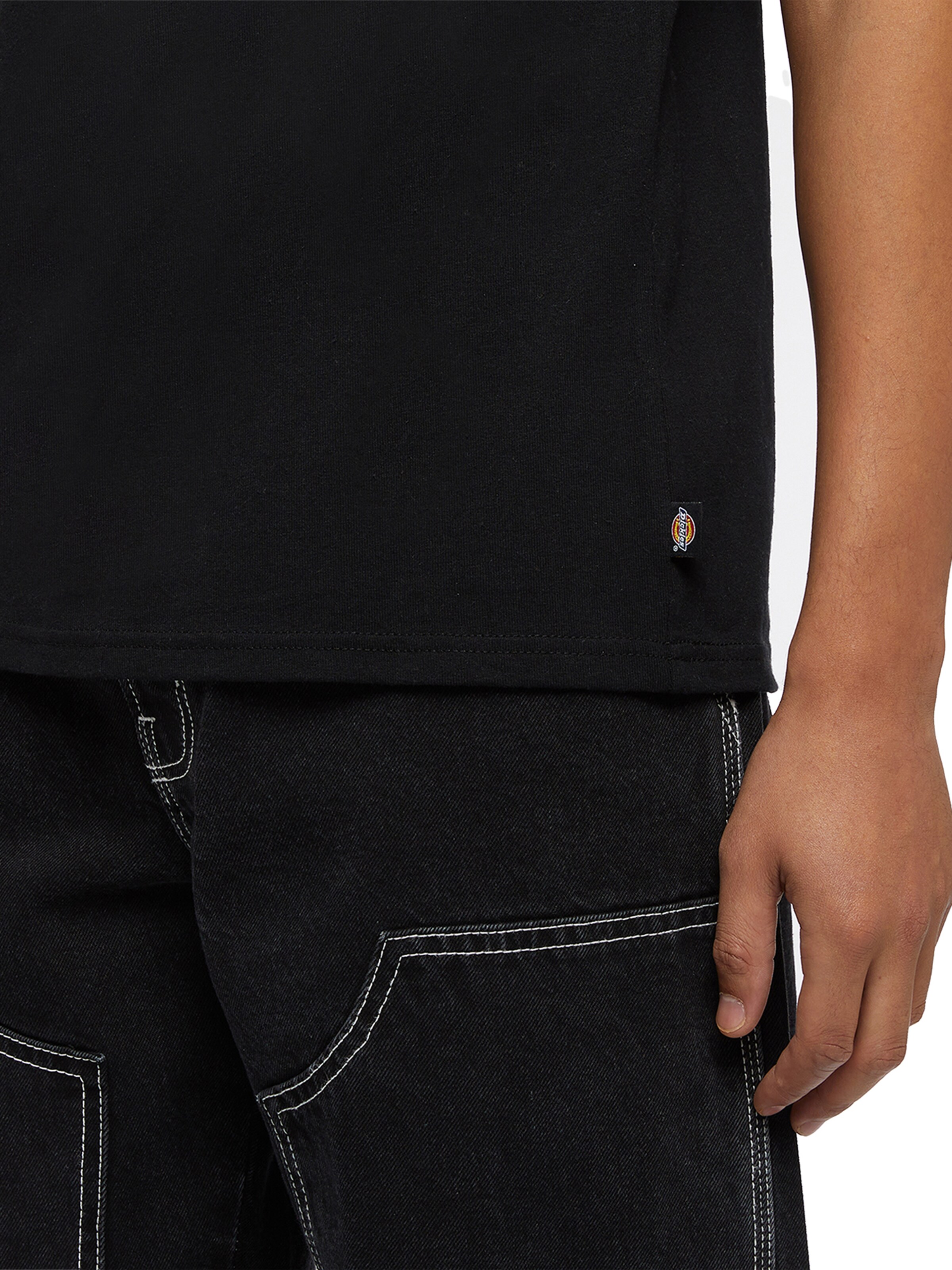 DICKIES T-shirt 'CLANCY' i svart