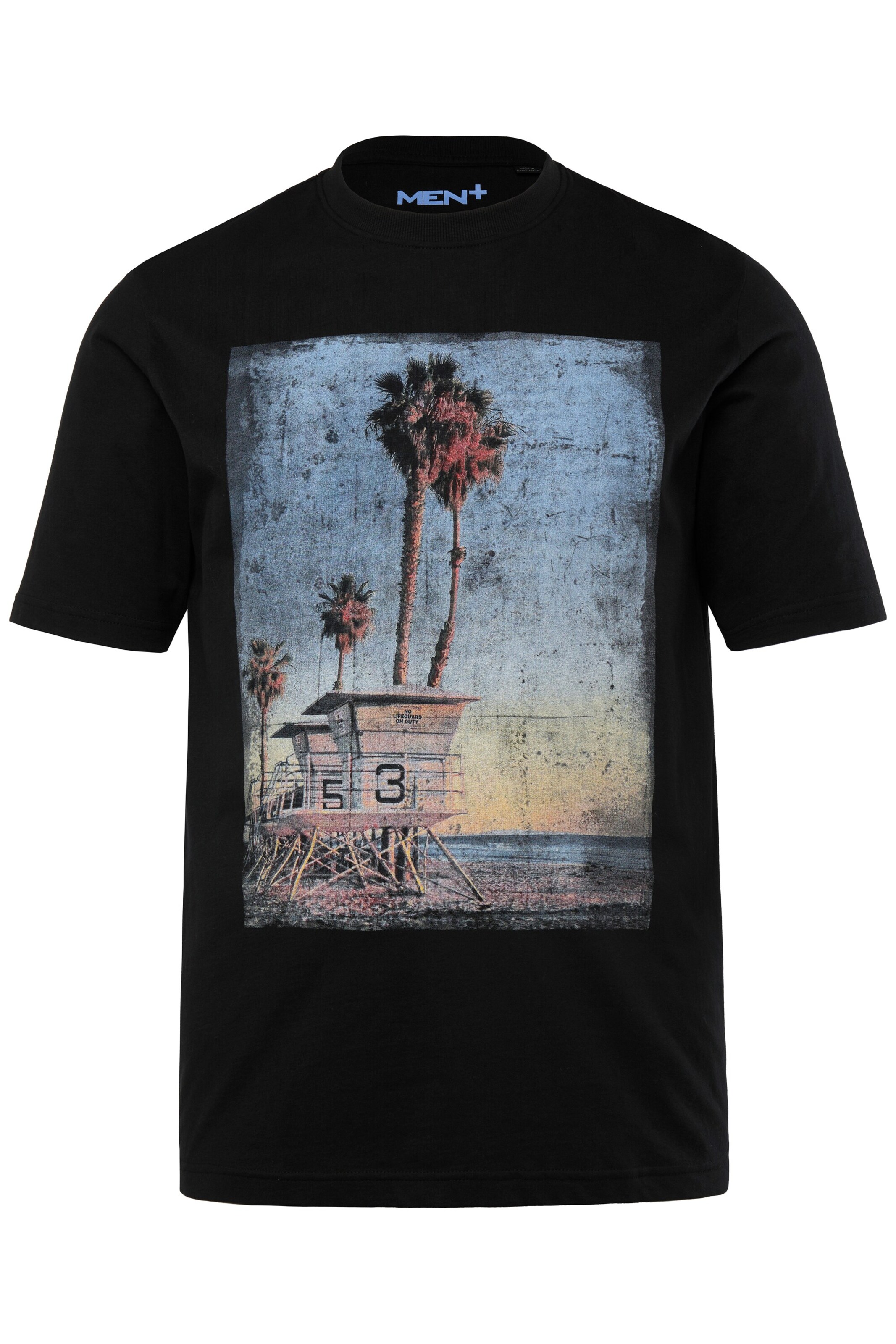 T-Shirt Men Plus en noir : devant