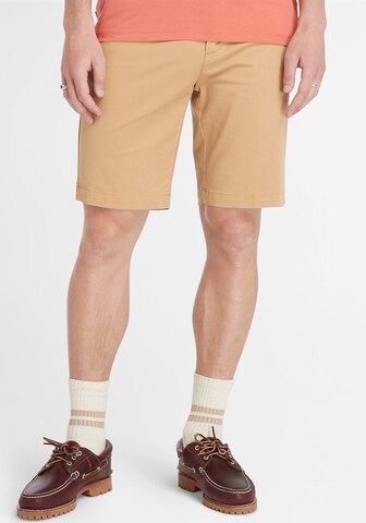 TIMBERLAND Regular Chino trousers in Brown: front