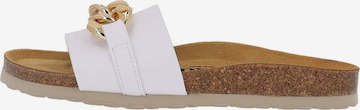 Palado Mules 'Gozo 2240-353' in White: front