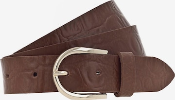 VANZETTI - Cinturón en marrón: frente