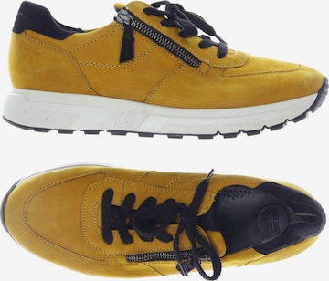 Paul Green Sneakers & Trainers in 41,5 in Yellow: front