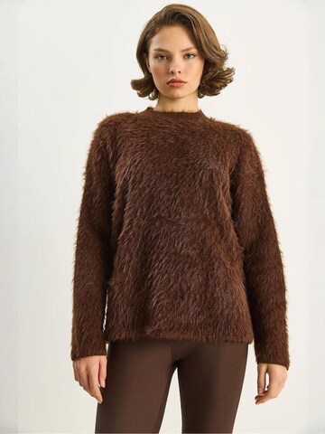Pull-over 'Pullover' Bianco Lucci en marron