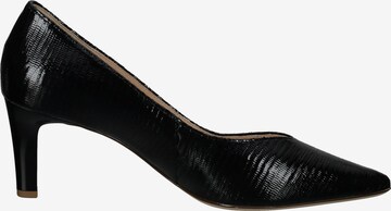 Högl Pumps in Black