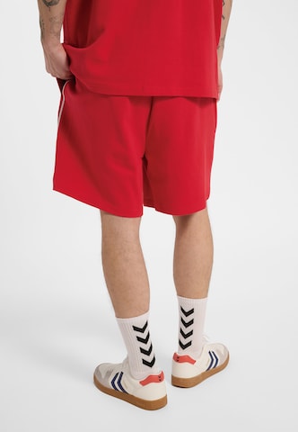 Hummel Regular Sports trousers 'DBU 26' in Red