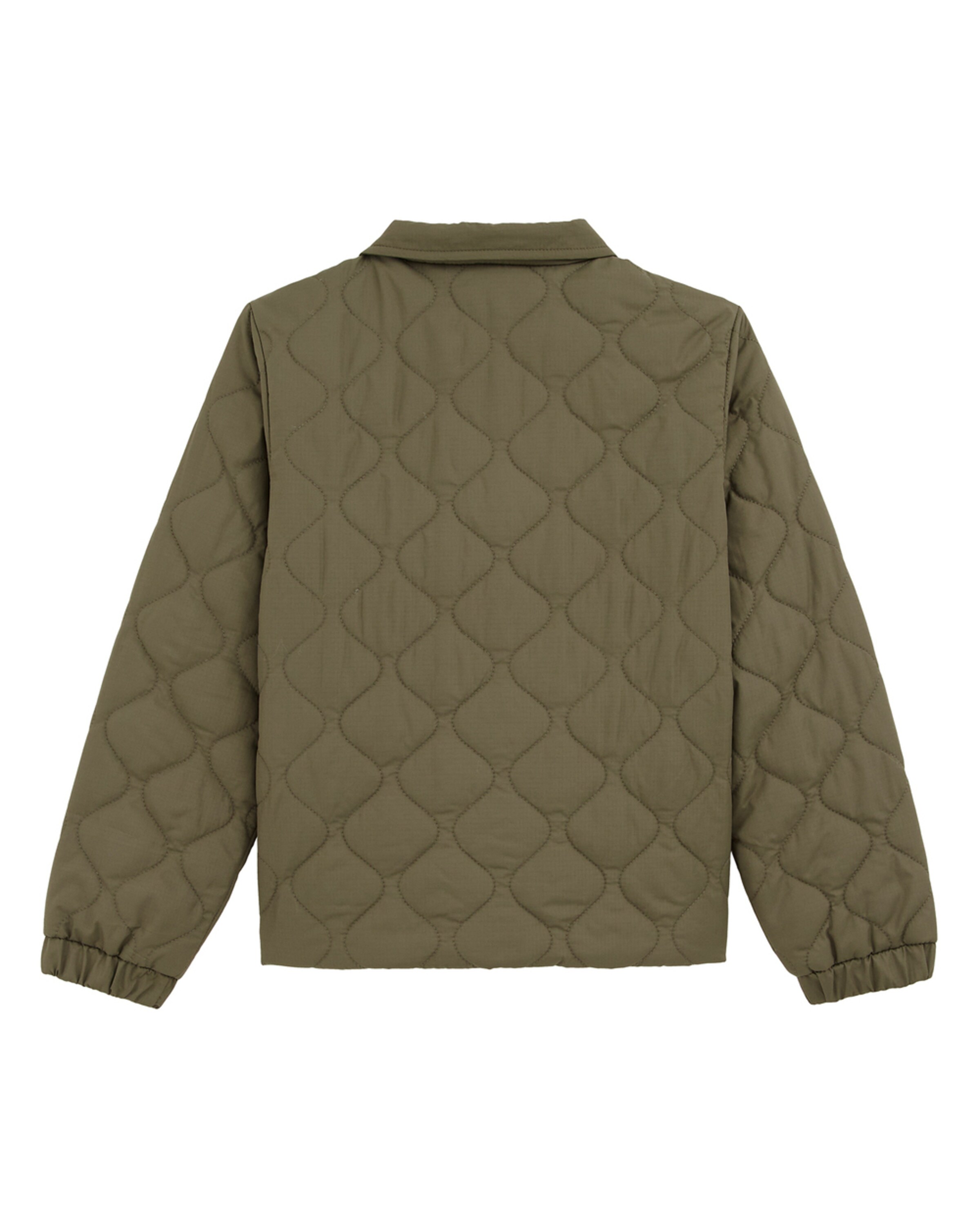 WE Fashion Prechodná bunda - Zelená