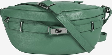 Samantha Look Gürteltasche in Grün: Vorderseite