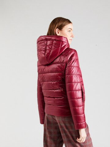 Veste mi-saison 'Palatori' BOSS en rouge