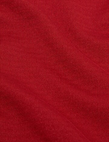 MAMMUT Sportpullover  ‘Aenergy Light ' in Rot