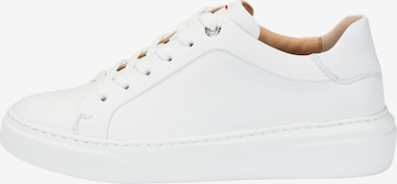 LLOYD High-top trainers in White: front