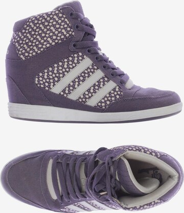 ADIDAS NEO Sneakers & Trainers in 39,5 in Purple: front