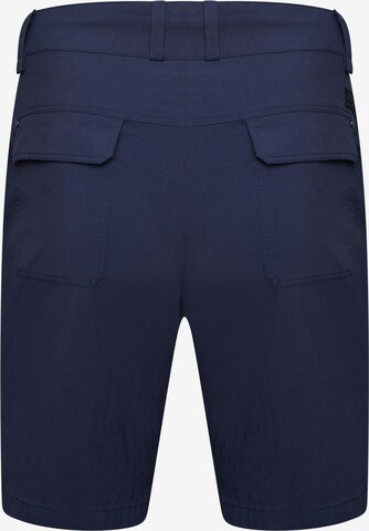 DARE2B Regular Outdoor Pants ' Tuned In ' in Blue