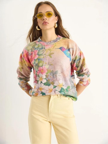 Bianco Lucci Pulover 'Pullover' | mešane barve barva