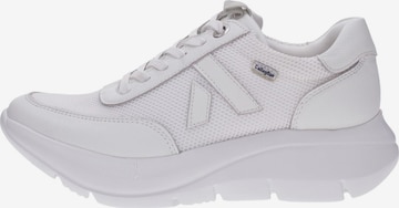 Sneaker bassa di Callaghan in bianco: frontale