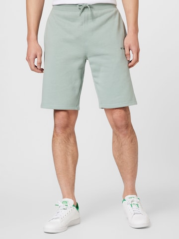 Pantaloni di COLUMBIA in verde: frontale