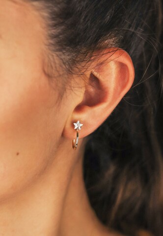 Nana Kay Earrings in Gold: front