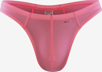 Olaf Benz Panty ' RED0965 Ministring ' in Pink: front