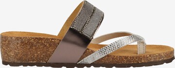 SCAPA T-Bar Sandals in Grey