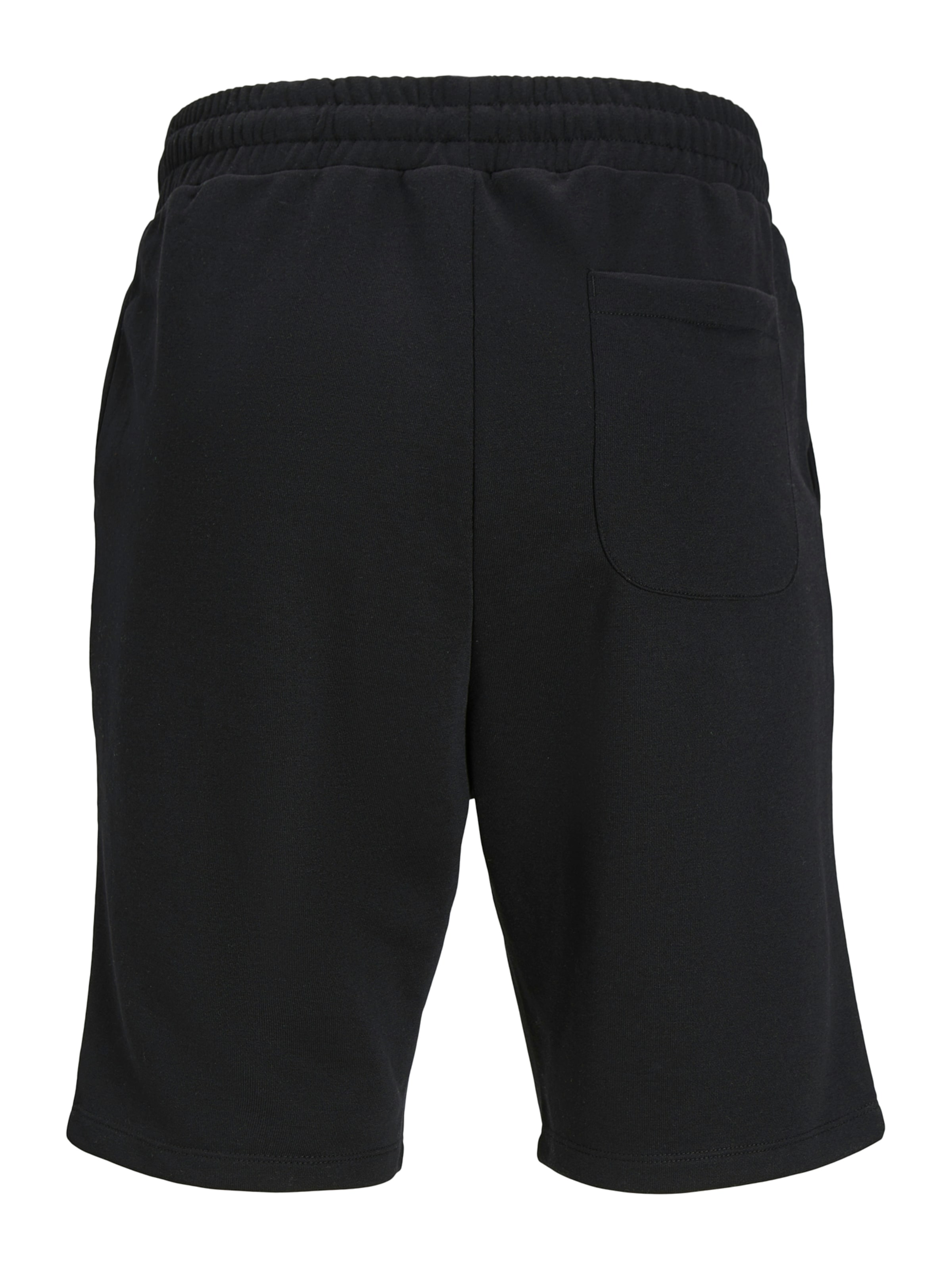 Regular Pantalon 'JPSTGORDON BRADLEY' Jack & Jones Plus en noir