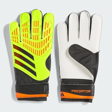 ADIDAS PERFORMANCE Sporthandschoenen 'Predator' in Gemengde kleuren: voorkant