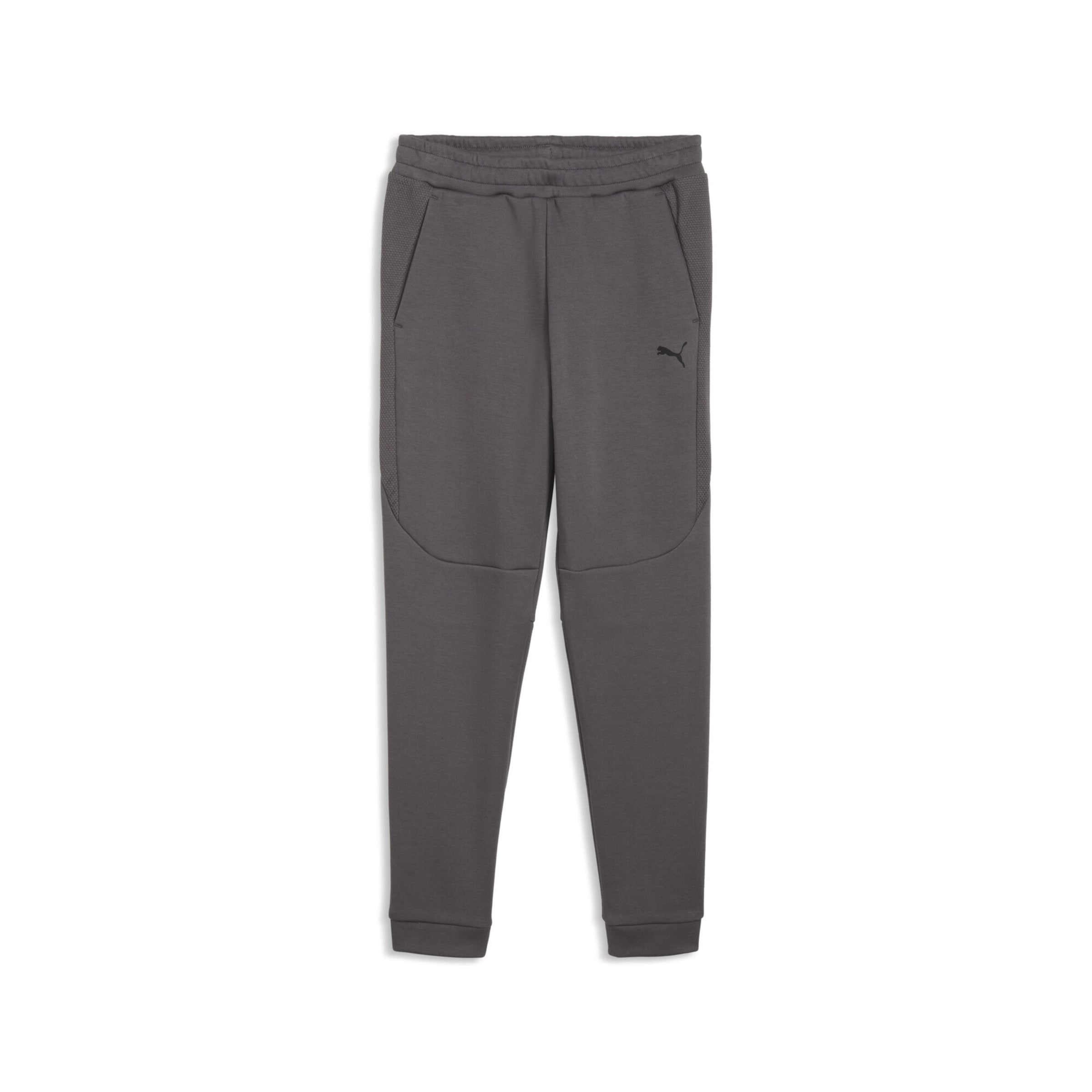 Regular Pantalon de sport PUMA en gris : devant