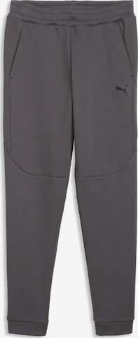Pantalon de sport PUMA en gris : devant