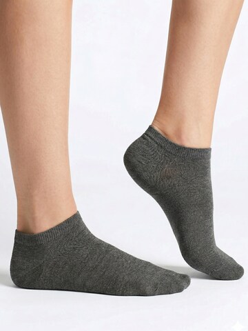 footstar Ankle Socks 'EVERYDAY!' in Grey