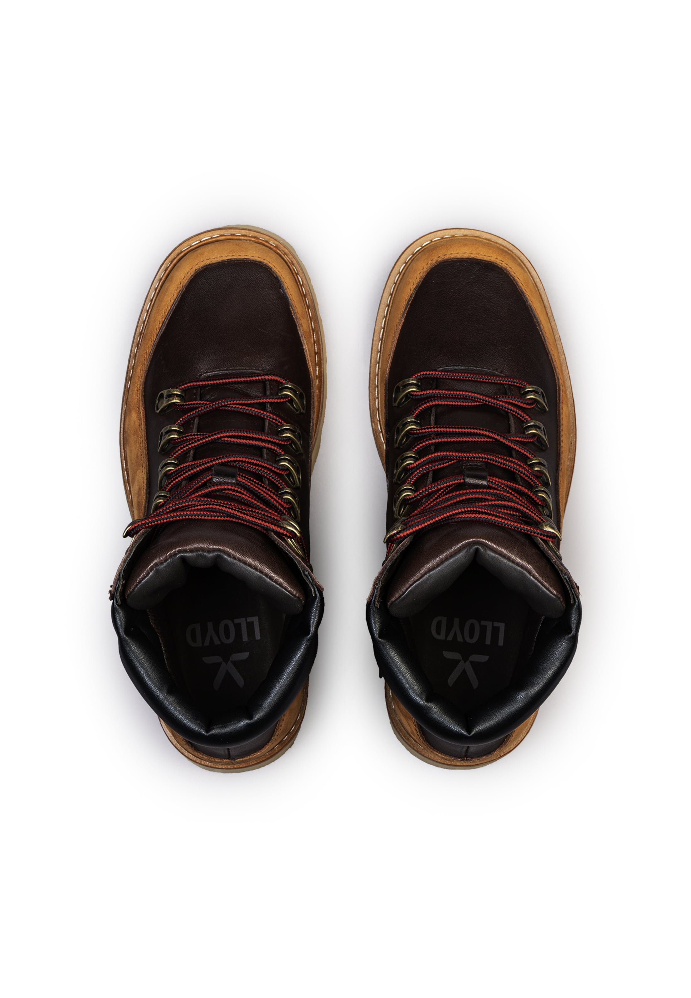 Bottes à lacets 'MARCH 347' LLOYD en mélange de couleurs