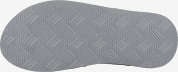 Claquettes / Tongs 'Cushion Spring' REEF en gris
