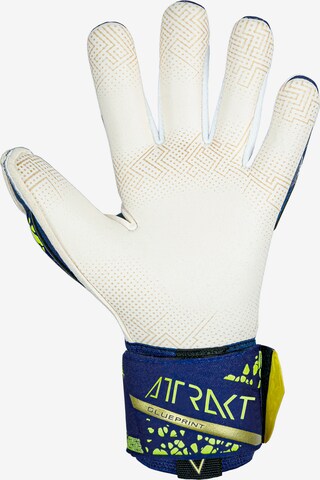 REUSCH Sporthandschuhe 'Attrakt Gold X GluePrint' in Blau