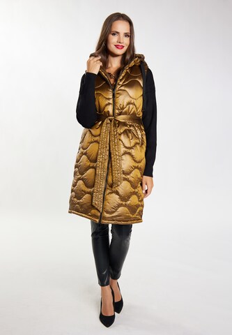 Gilet faina en marron