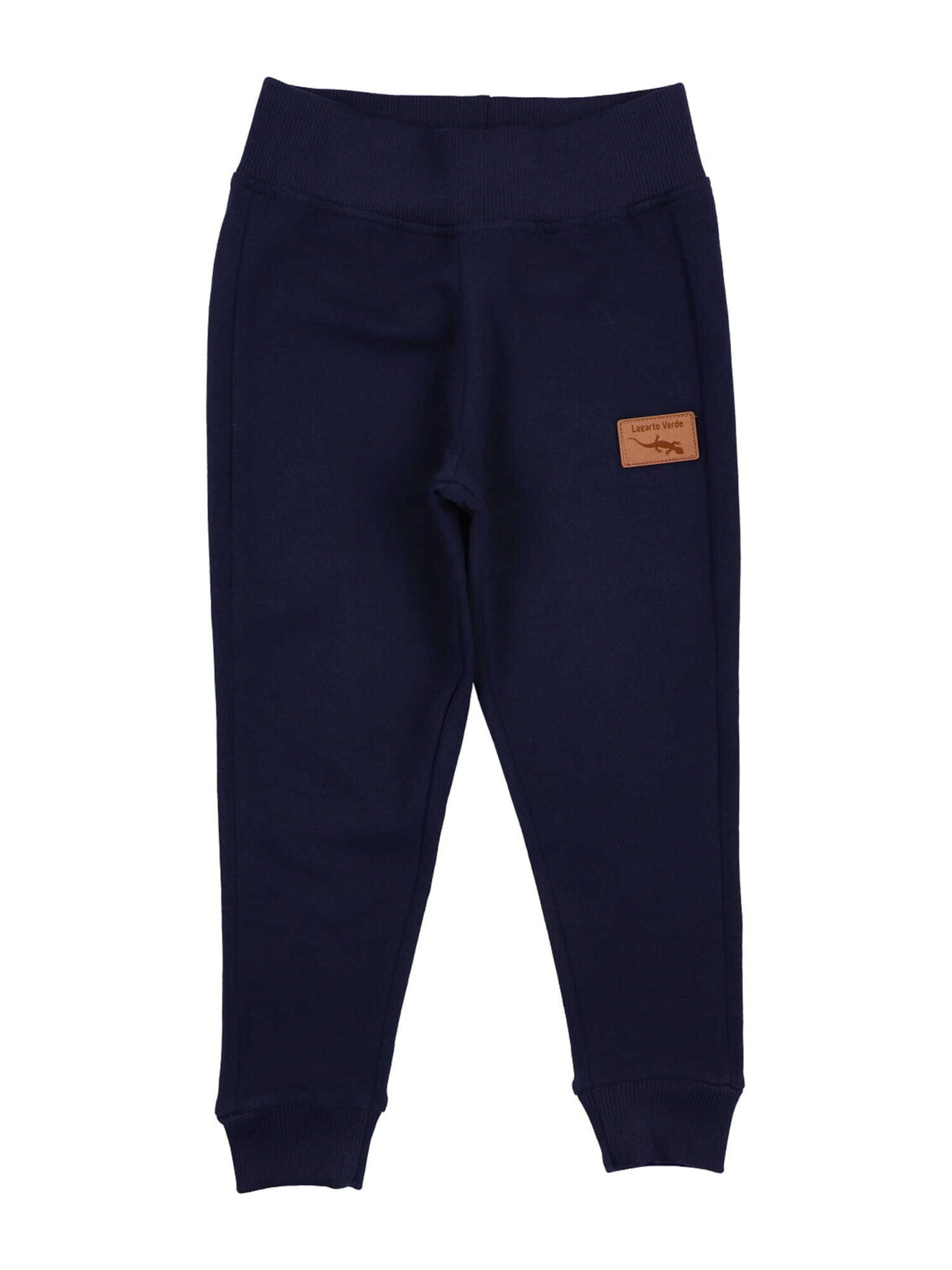 Regular Pantalon de sport Lagarto Verde en bleu : devant