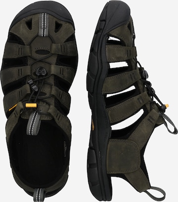 KEEN Sandalen in Groen