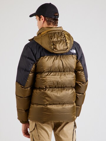THE NORTH FACE Regular fit Outdoor jacket 'DIABLO' in Green