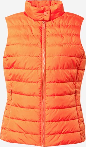 Gilet TOM TAILOR en orange : devant