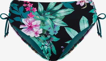 Marc & André Bikini Bottoms in Mixed colors: front